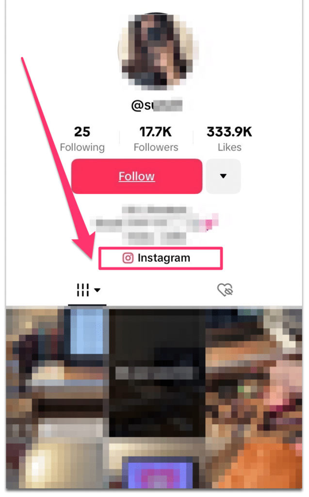 Their Instagram link on TikTok